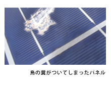 鳥の糞などパネルの汚れ