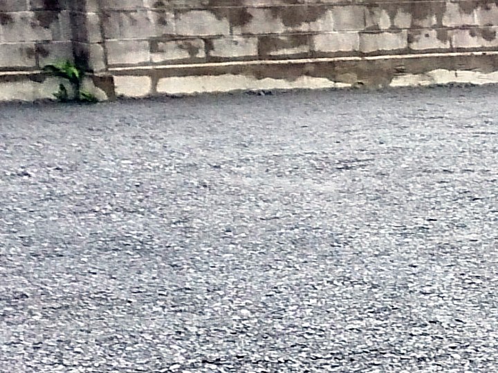 家屋解体工事