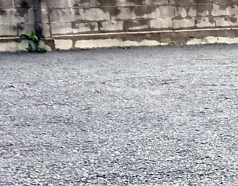 家屋解体工事 メイン写真